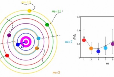 新的突破!科學家對果蠅運動的研究將影響醫學和無人駕駛等領域