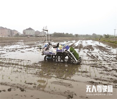 全省首臺無人駕駛 水稻插秧機下田作業