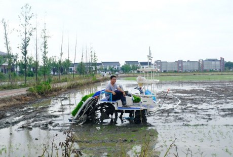 北斗導(dǎo)航無人駕駛 鎮(zhèn)江首臺智能無人駕駛插秧機下田干活了