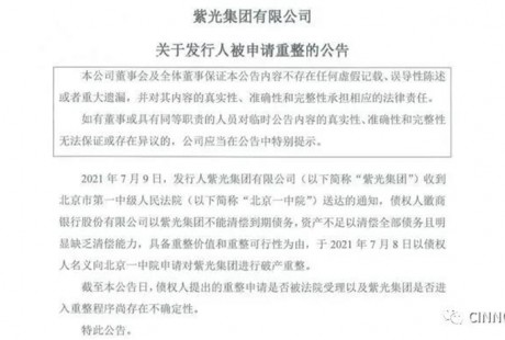 紫光集團被申請破產重整 旗下千億芯片公司股權或生變